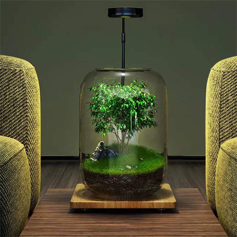 Creative Grey Glass Bottles Moss Landscaping Bottle Succulent Glass Vase Hydroponic Container Micro Landscape Glass Terrarium